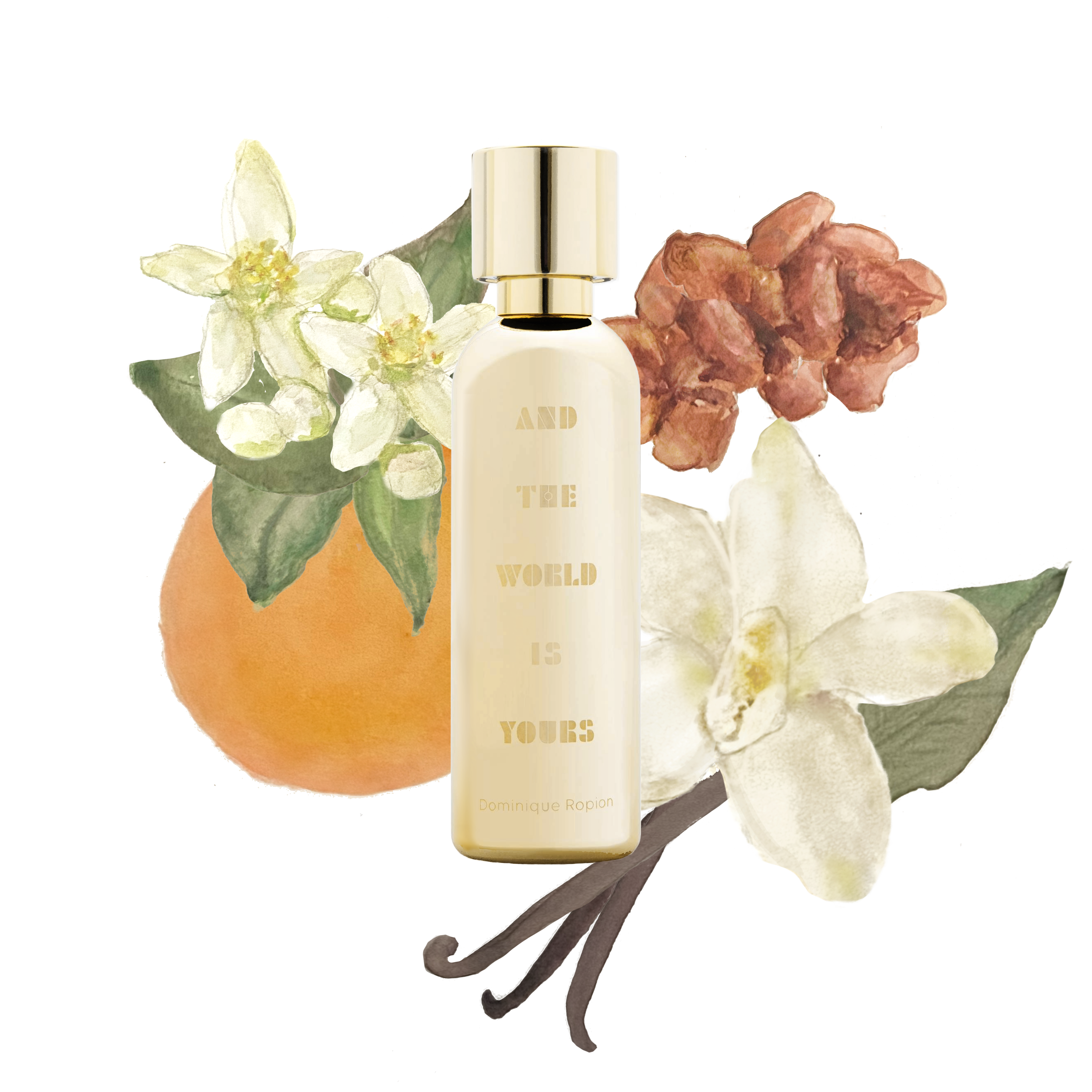 Perfume bottle with floral elements on a white background
